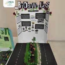 Annual Science Exhibition 2024 image 3